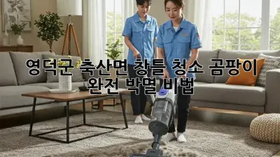 🏡✨ 영덕군 축산면 창틀 청소, 곰팡이 완전 박멸 비법! 💦