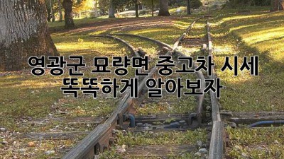 영광군 묘량면 중고차 시세, 똑똑하게 알아보자! 🚗💨