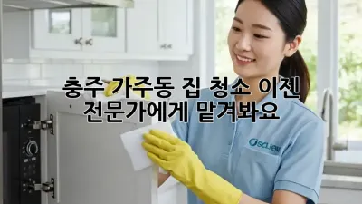 충주 가주동 집 청소? 이젠 전문가에게 맡겨봐요!